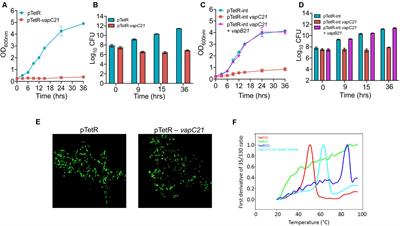 VapC21 Toxin Contributes to Drug-Tolerance and Interacts With Non-cognate VapB32 Antitoxin in Mycobacterium tuberculosis